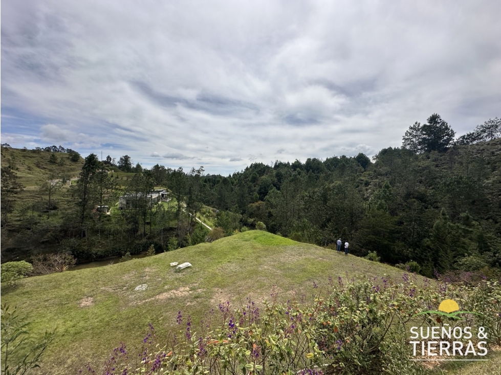 Venta Lote En Parcelación - El Retiro - Lejos del Nido — foto 4