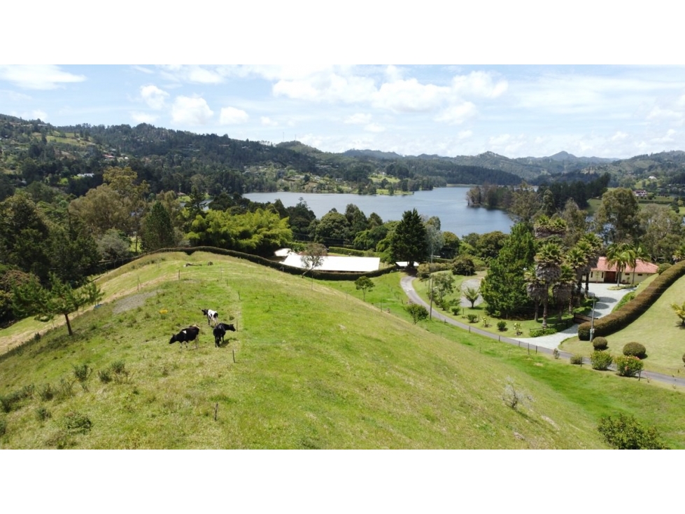 Venta Lote Independiente - El Retiro - Fizebad