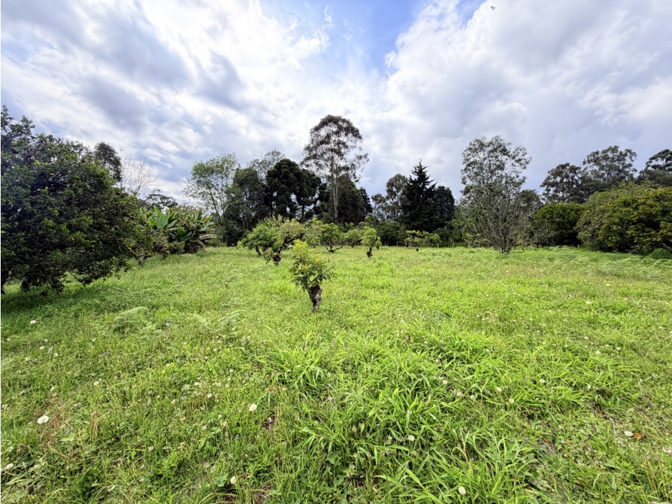Lote comercial de 25.000 m² Oportunidad De Desarrollo — foto 4