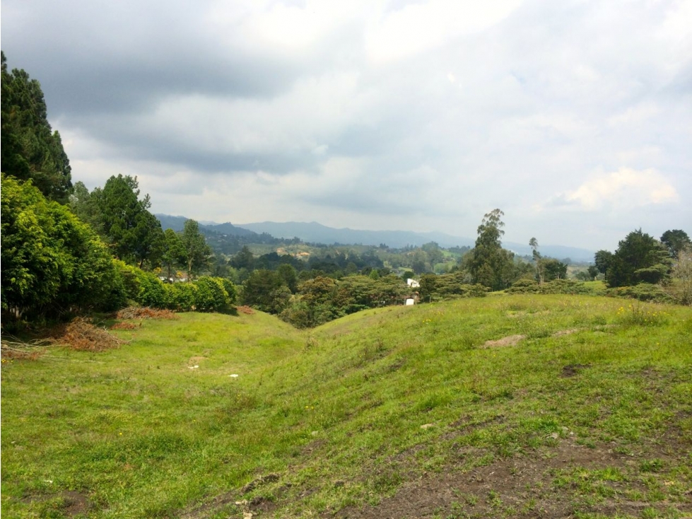 Se Vende Lote El Capiro - Rionegro — foto 4