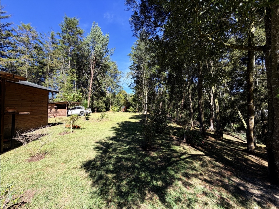Finca Independiente Via Don Diego-La Ceja — foto 5