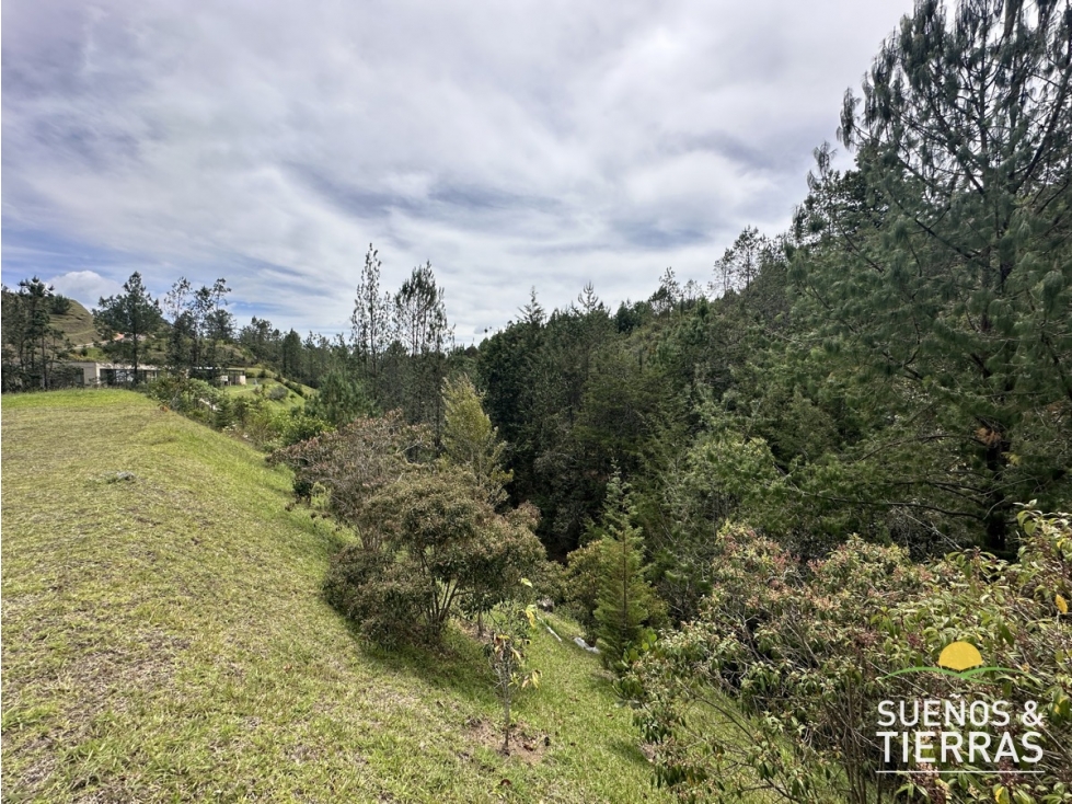 Venta Lote En Parcelación - El Retiro - Lejos del Nido — foto 5