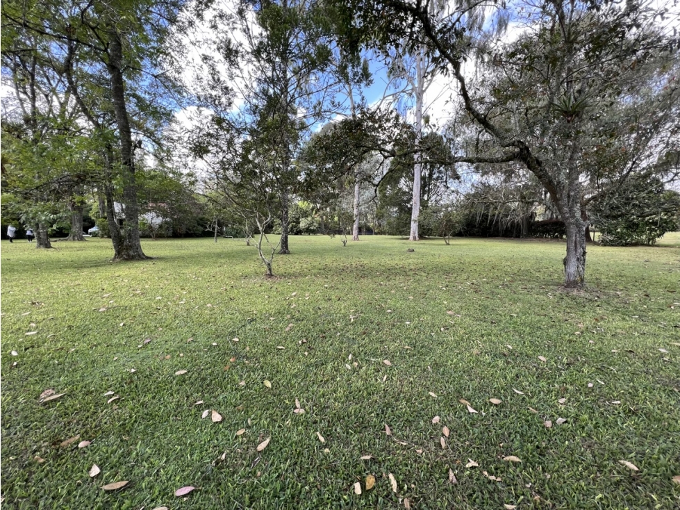 Venta Lote Comercial Llanogrande - Rionegro