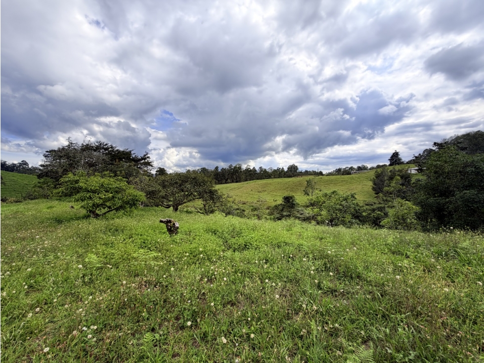 Lote comercial de 25.000 m² Oportunidad De Desarrollo — foto 5