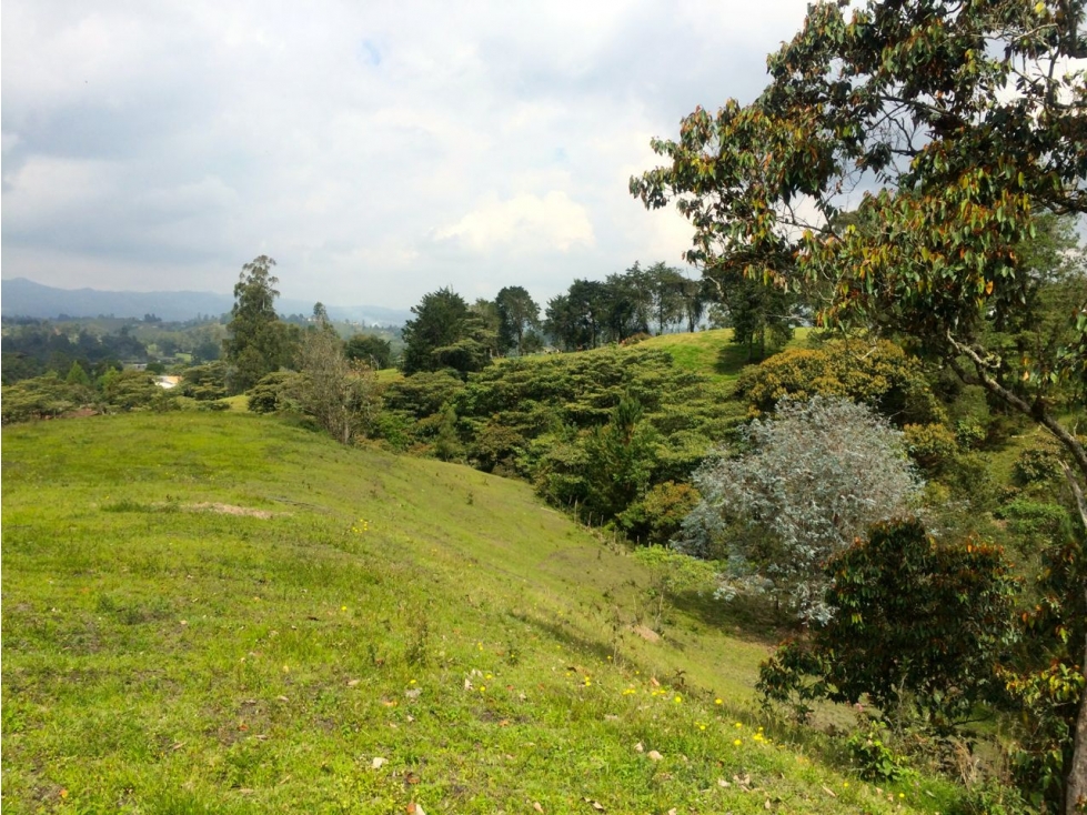 Se Vende Lote El Capiro - Rionegro — foto 5