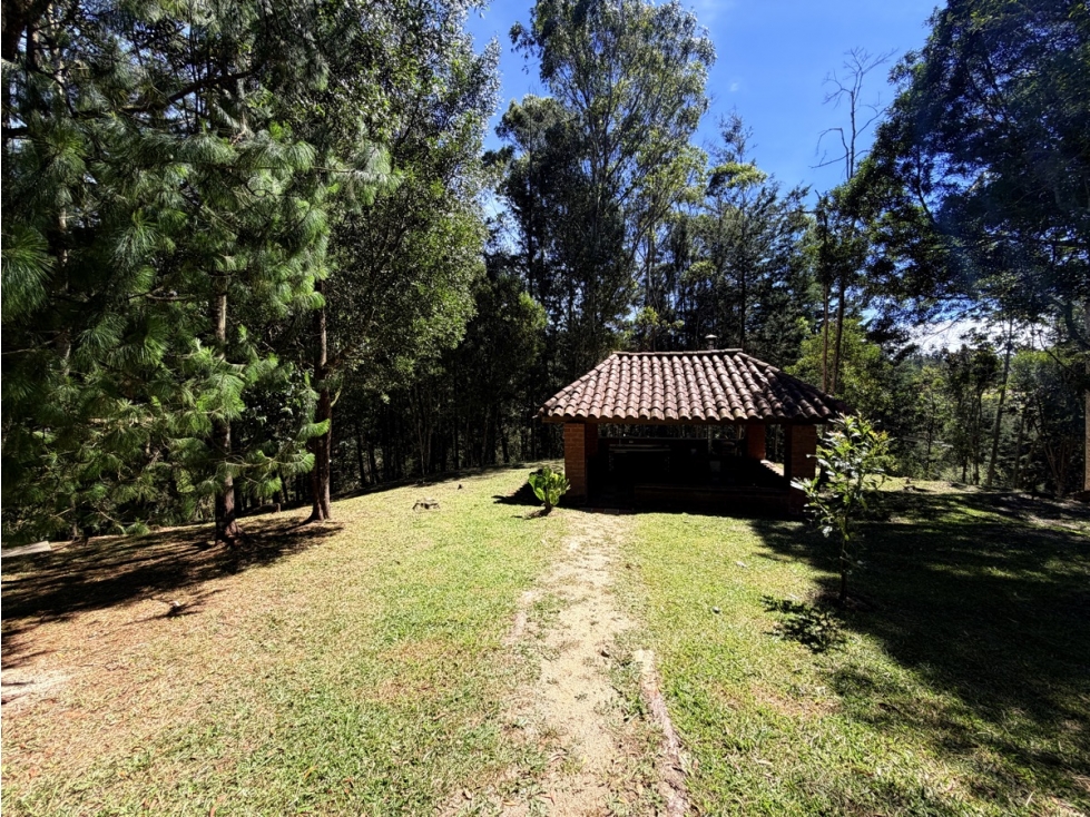 Finca Independiente Via Don Diego-La Ceja — foto 6