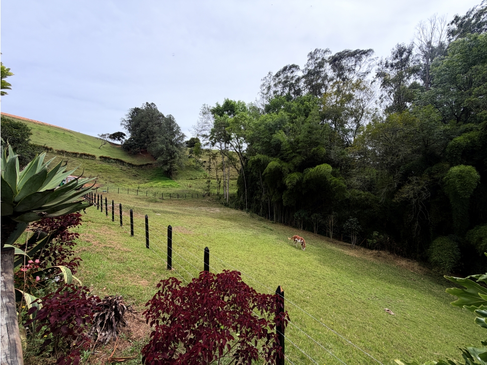 Finca Independiente Sector Cabeceras — foto 5