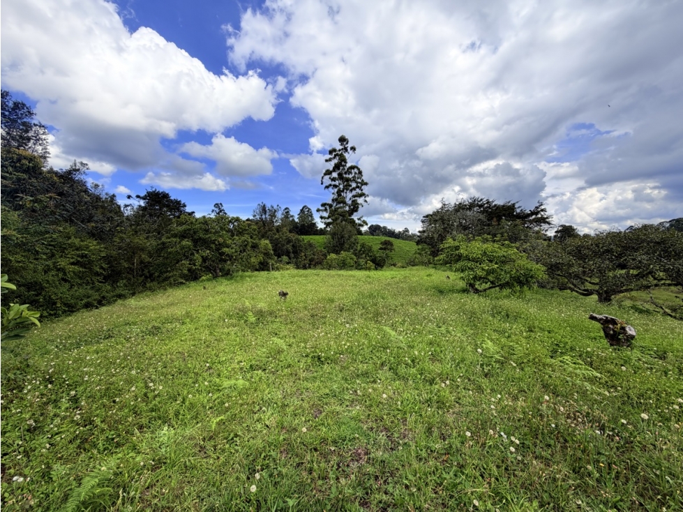 Lote comercial de 25.000 m² Oportunidad De Desarrollo — foto 6