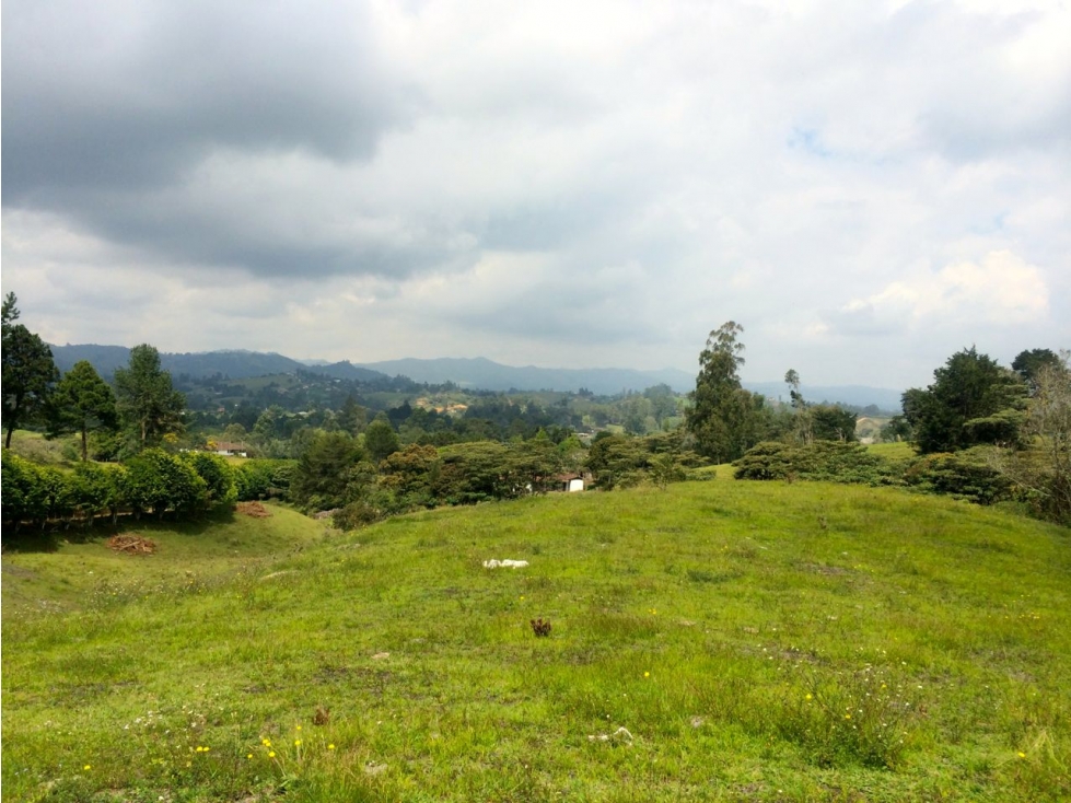 Se Vende Lote El Capiro - Rionegro — foto 6