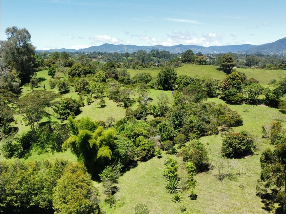 Venta Lotes - Rionegro - Vilachuaga
