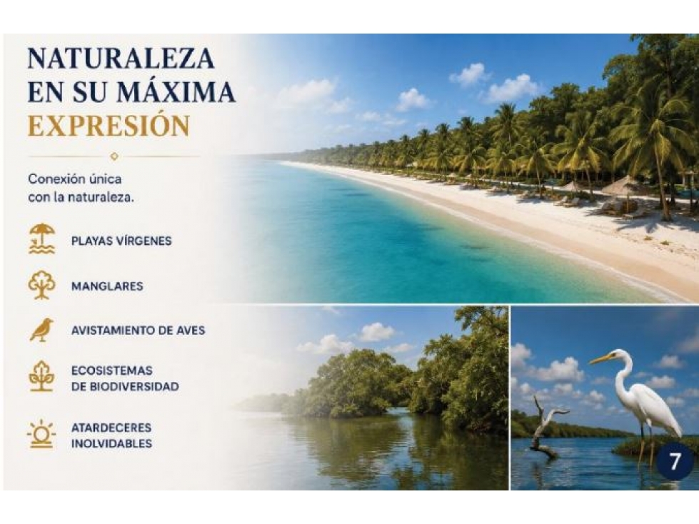 VENTA DE LOTES EN SAN BERNARDO DEL VIENTO - 5