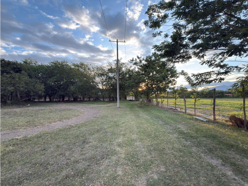 Oportunidad Lote/Terreno para Hacienda en La Torre Rozo 9.600 m2 — foto 2