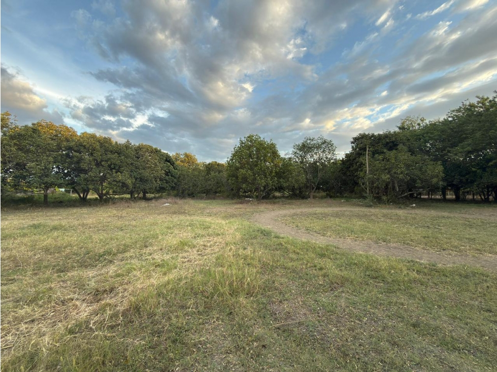Oportunidad Lote/Terreno para Hacienda en La Torre Rozo 9.600 m2 — foto 4