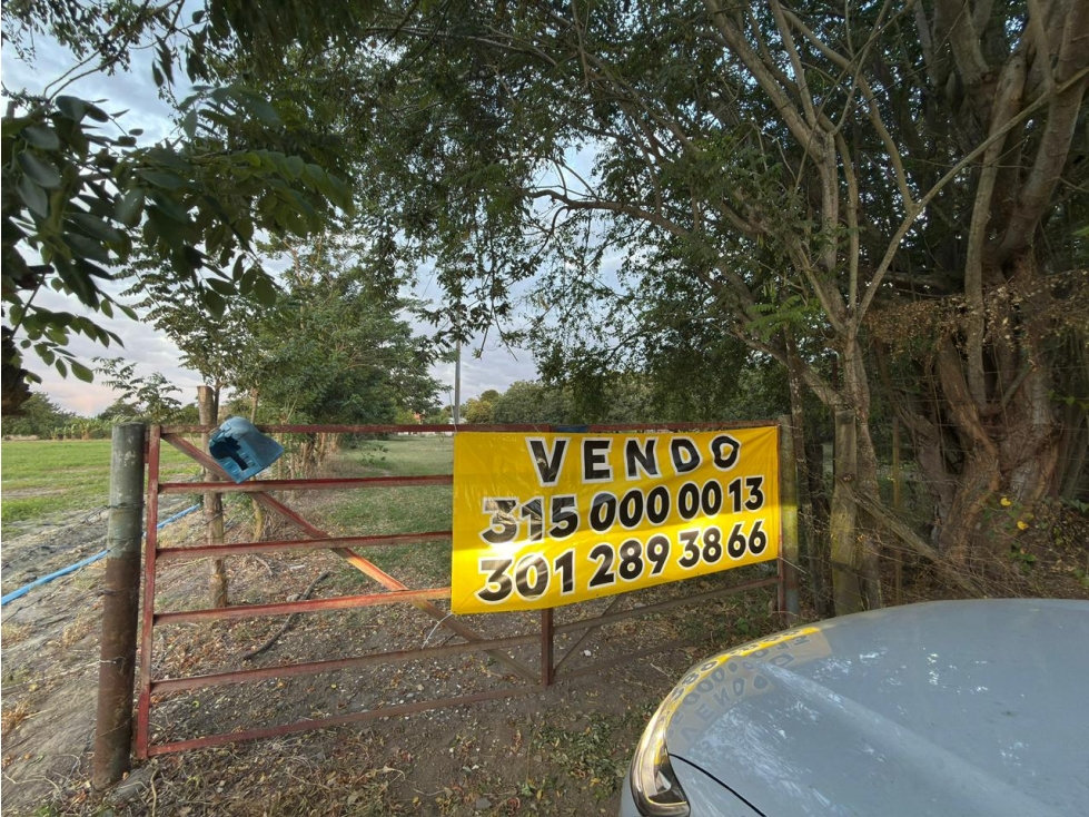 Oportunidad Lote/Terreno para Hacienda en La Torre Rozo 9.600 m2 — foto 5