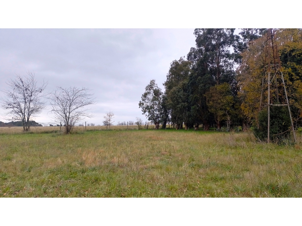 GRAN LOTE con SERVICIOS SUBTERRÁNEOS SIERRA CHICA | ZONA QUINTAS - 3