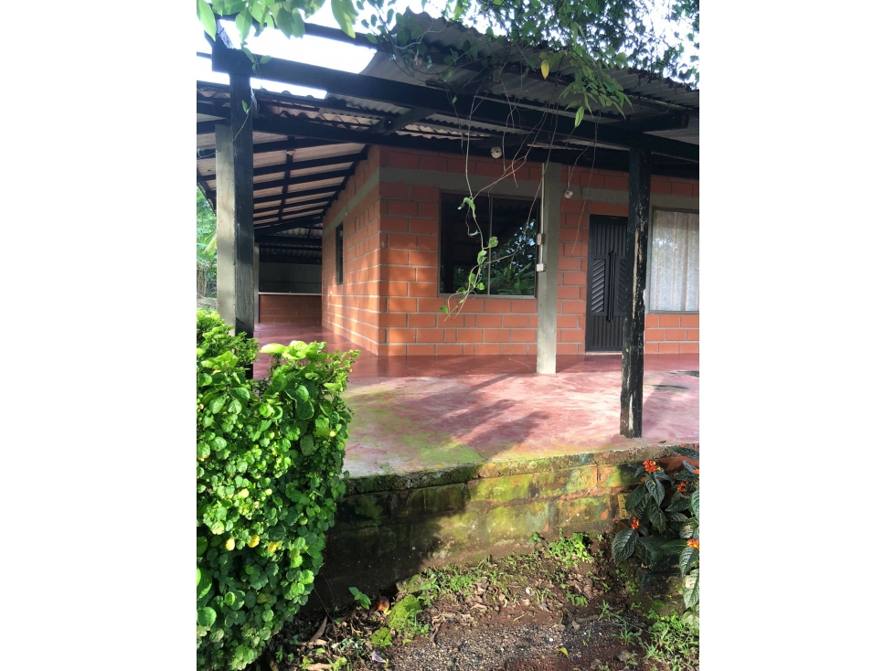Venta de Lote Campestre - 4