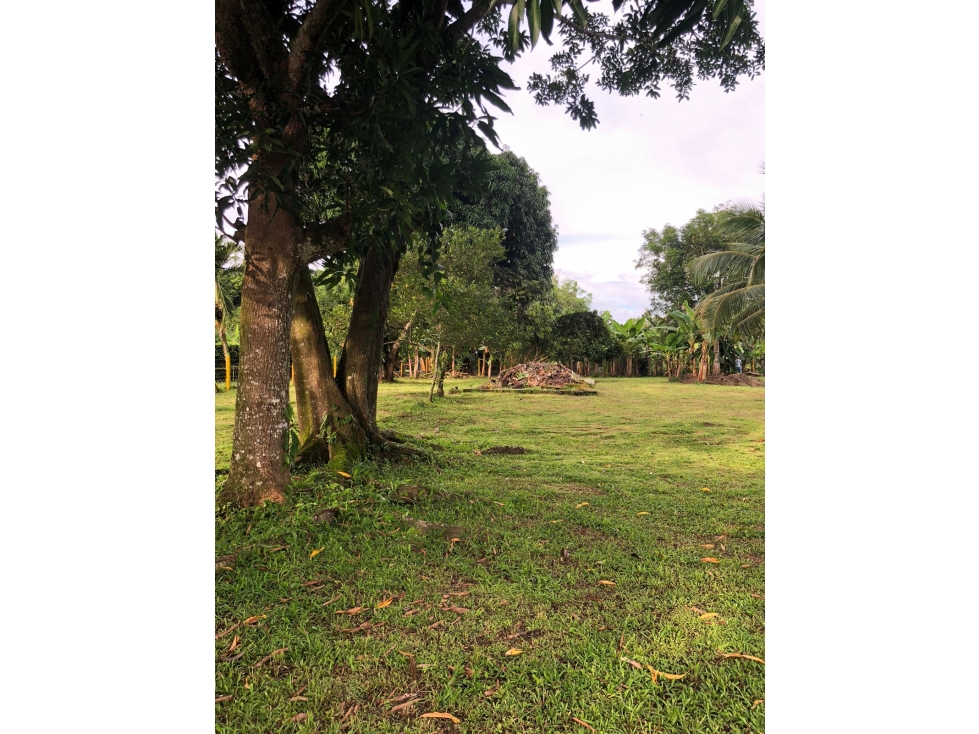 Venta de Lote Campestre - 5