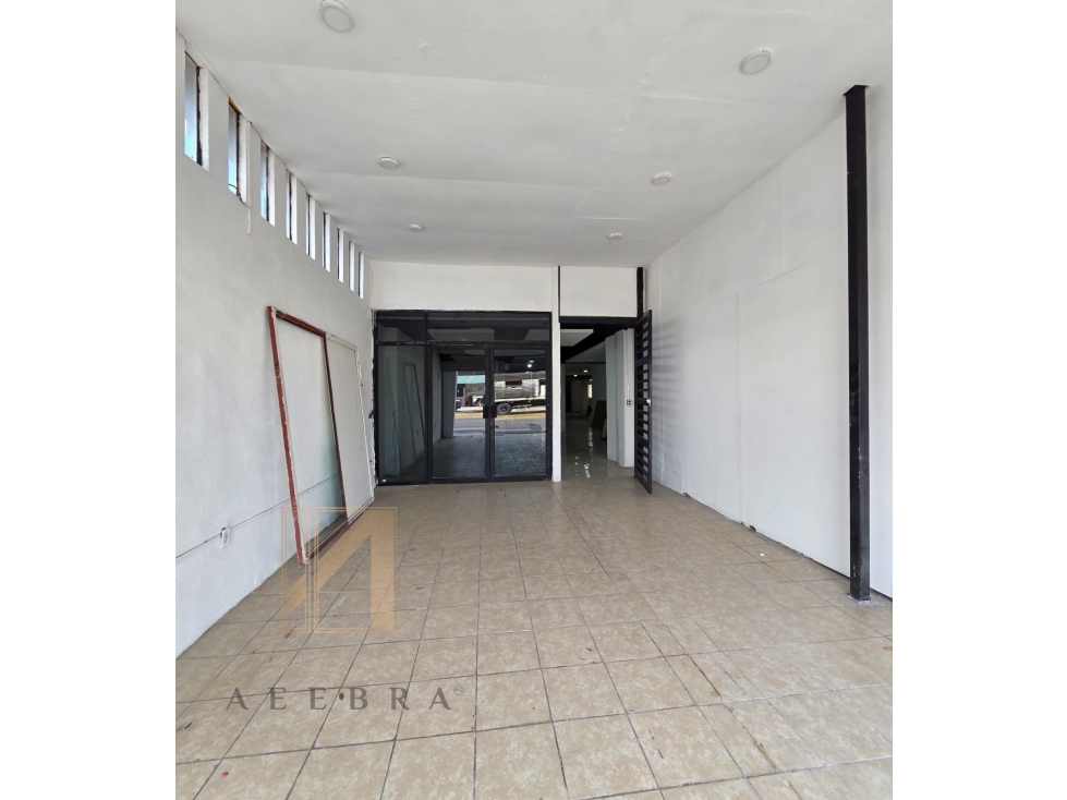Amplio Local en Renta 420 m² sobre Ave. Universidad - 3