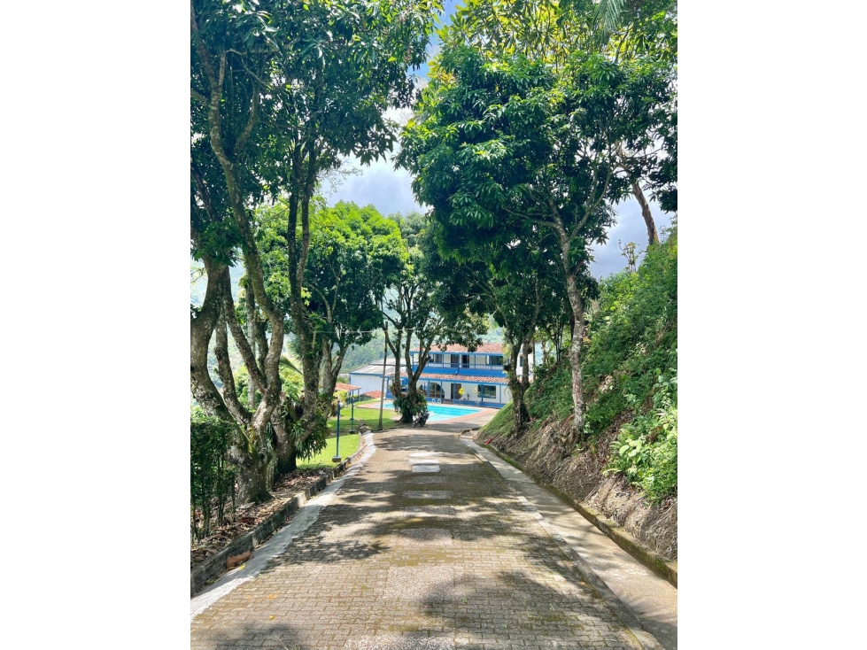 VENTA DE FINCA HOTEL EN FREDONIA - 1