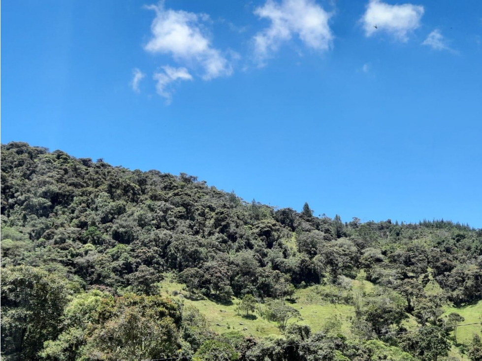 FINCA SAN CRISTOBAL — foto 2