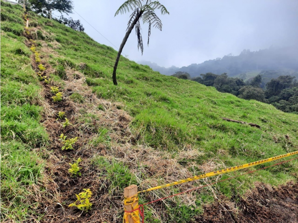 FINCA SAN CRISTOBAL — foto 4