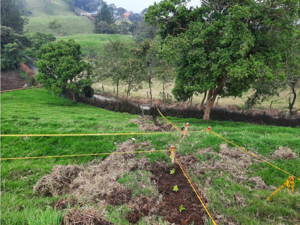 FINCA SAN CRISTOBAL — foto 5