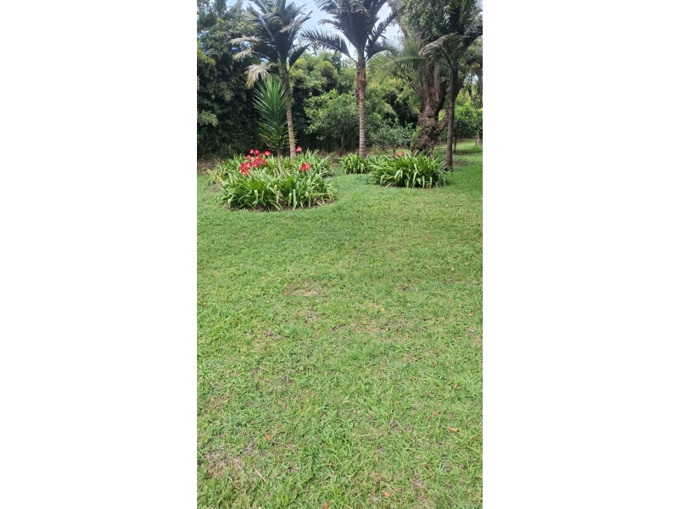 VENTA DE CASA CAMPESTRE EN LLANO GRANDE - 3