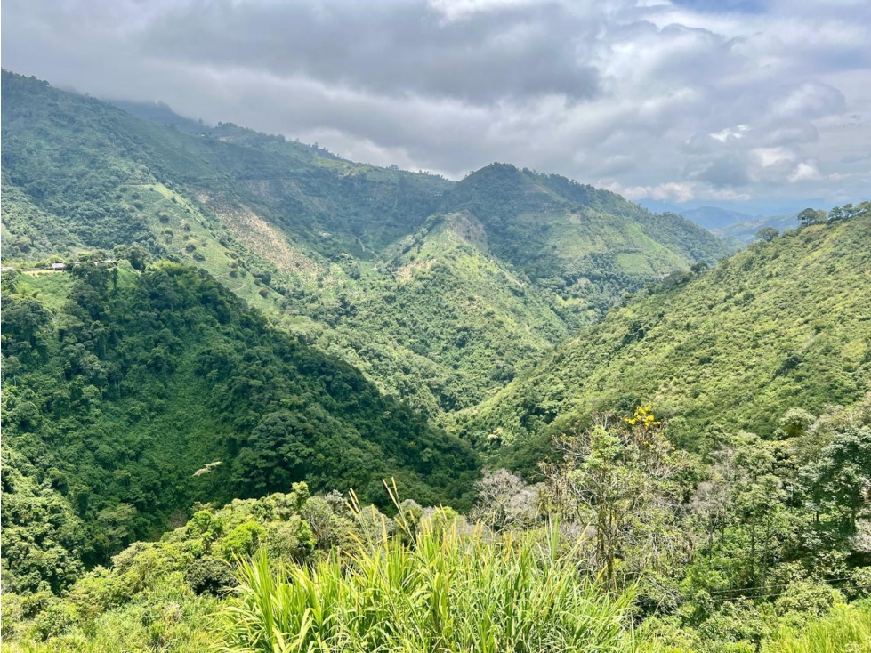 VENTA DE FINCA HOTEL EN FREDONIA - 3