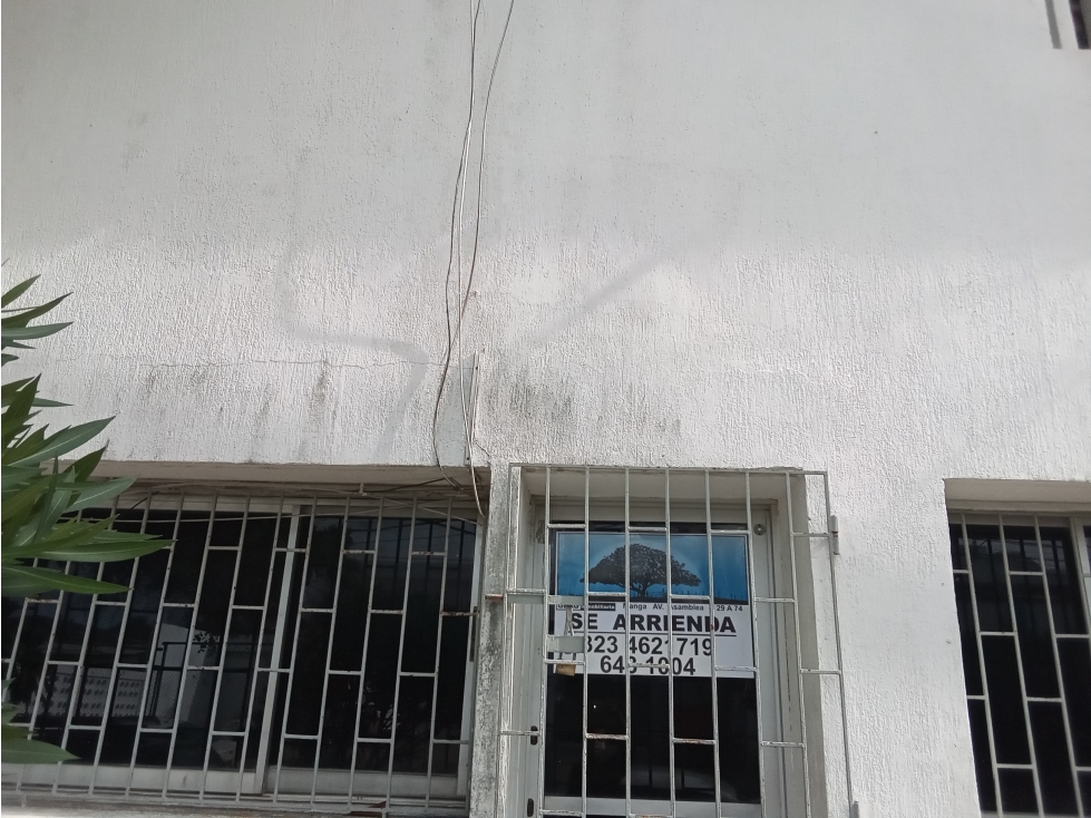 Local en Alquiler en Cartagena de Indias - Manga — foto 3