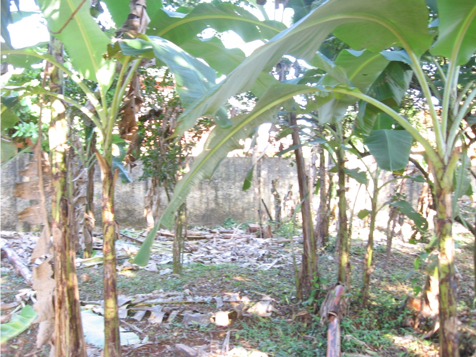 Lote en Alquiler en Cartagena de Indias - Turbaco