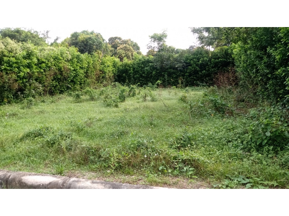 Lote en Venta en Cartagena de Indias - Santa Rosa — foto 2