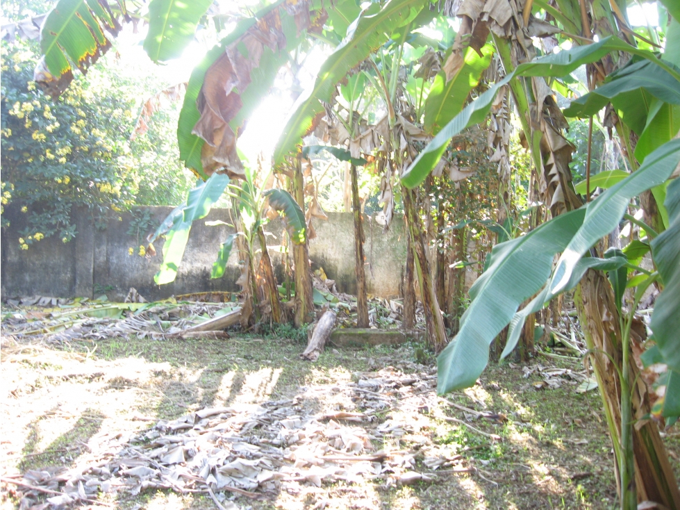 Lote en Alquiler en Cartagena de Indias - Turbaco — foto 2