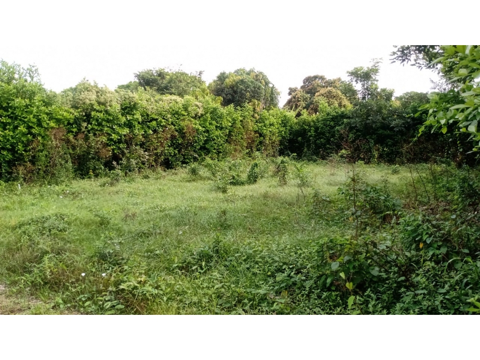 Lote en Venta en Cartagena de Indias - Santa Rosa — foto 3