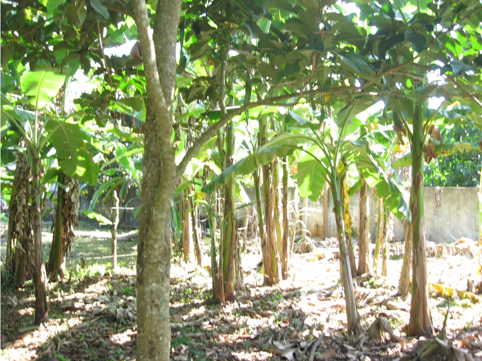 Lote en Alquiler en Cartagena de Indias - Turbaco — foto 4