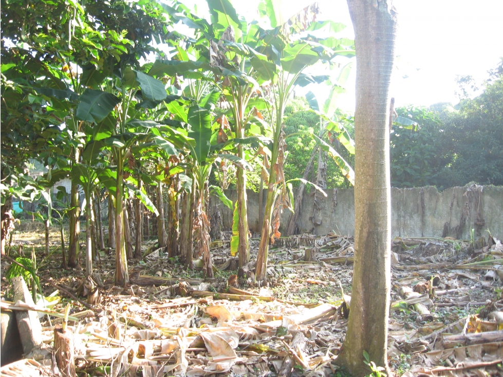 Lote en Alquiler en Cartagena de Indias - Turbaco — foto 6