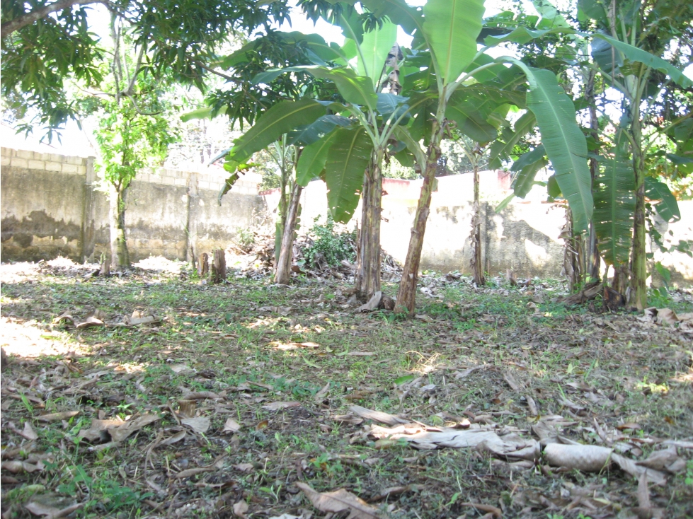 Lote en Alquiler en Cartagena de Indias - Turbaco — foto 6