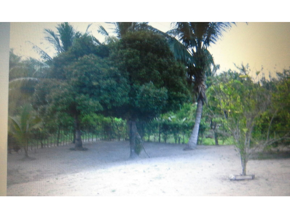 Lote en Venta en Cartagena de Indias - Tierra Bomba — foto 6