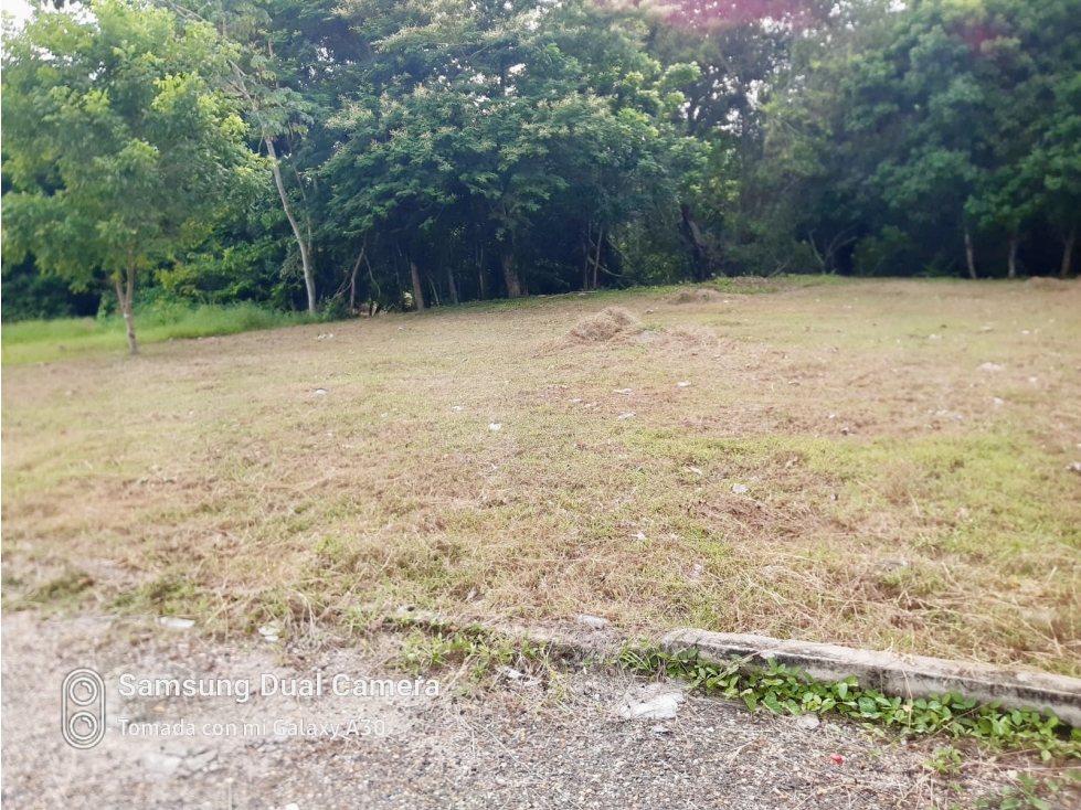 Venta Lote en Turbaco, Bolívar - 2