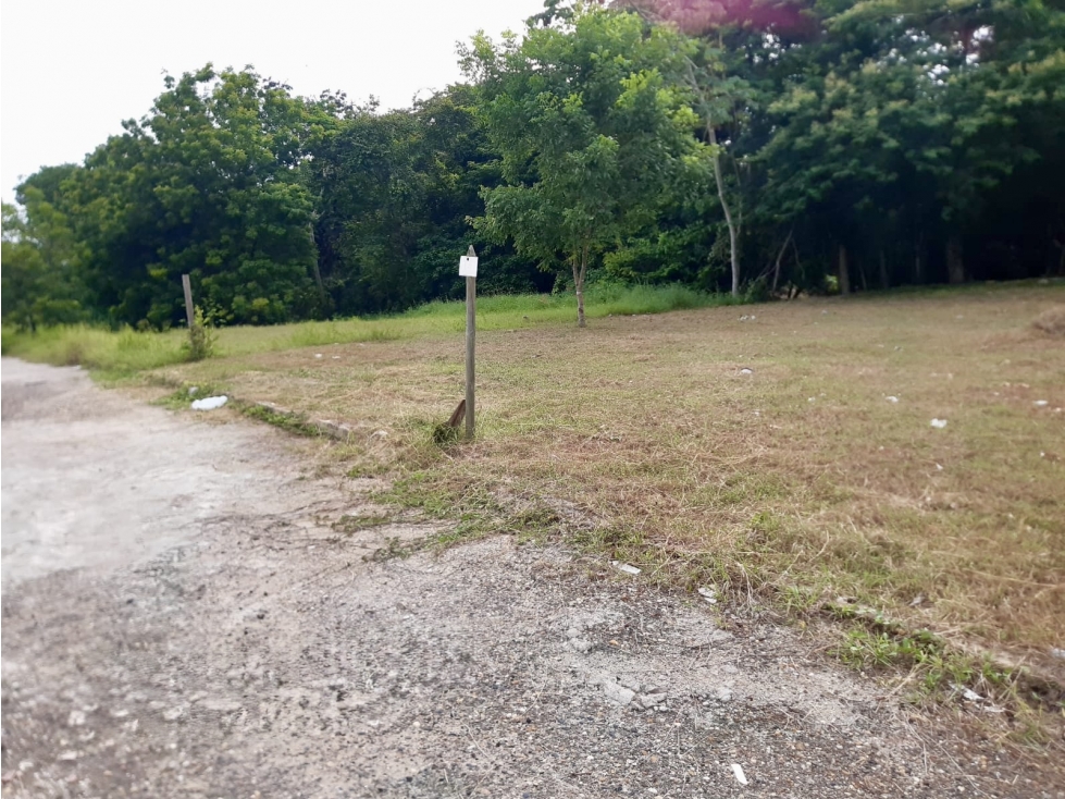 Venta Lote en Turbaco, Bolívar - 1
