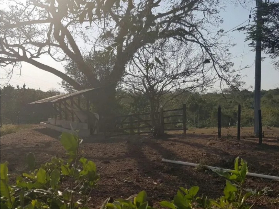 Venta Finca Variante Mamonal Gambote, Cartagena — foto 6