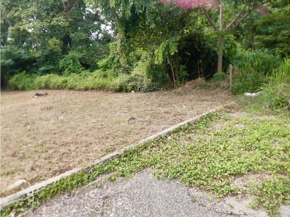 Venta Lote en Turbaco, Bolívar - 4