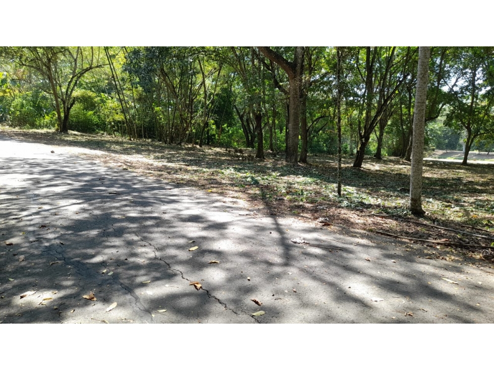 VENDO LOTE EN MESA DE YEGUAS . 2900 M2 - 1
