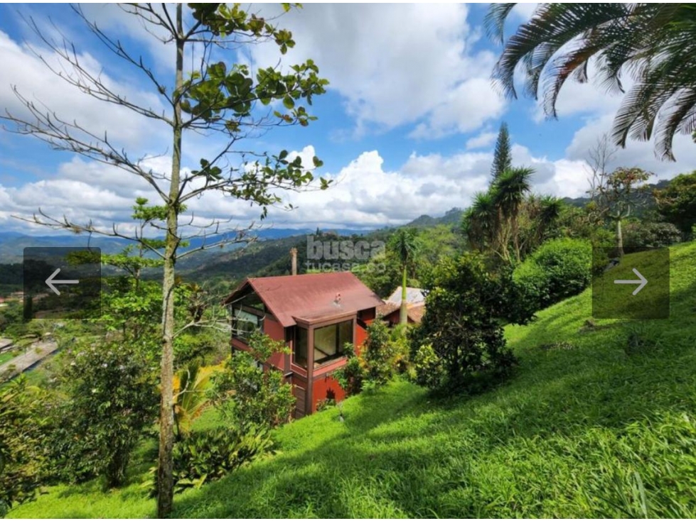 VENDO FINCA EN LA VEGA. 1667 M2