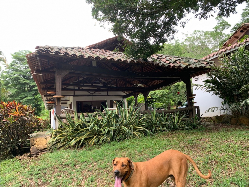 SE VENDE HERMOSA FINCA EN LA MESA 11 HECTAREAS — foto 3