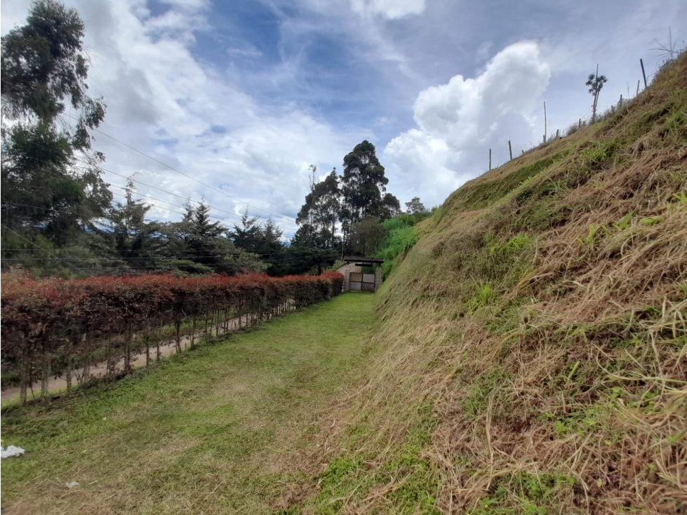 FINCA EN VENTA, VEREDA LA ALDANA, EL SANTUARIO - 4