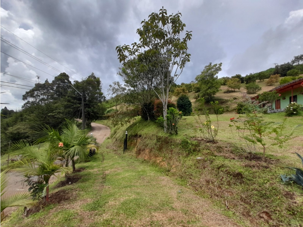 FINCA EN VENTA, VEREDA LA ALDANA, EL SANTUARIO - 5