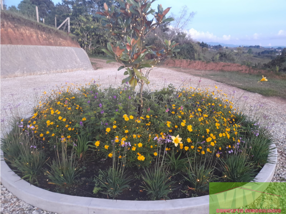 SE VENDE FINCA EN VEREDA MAMPUESTO,RIONEGRO — foto 4
