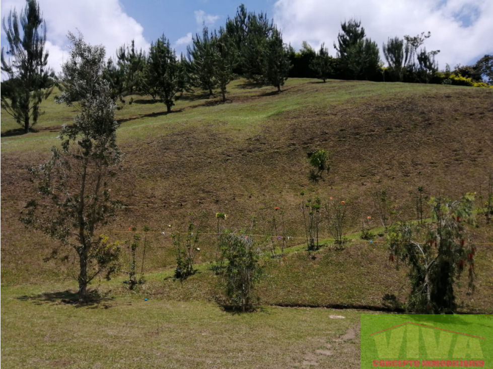 SE VENDE FINCA EN VEREDA EL ROSAL,RIONEGRO