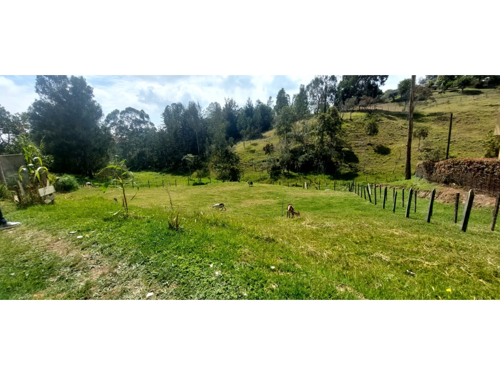 SE VENDE LOTE,VEREDA LA CONVENCION,AUTOPISTA MDE-BOG RIONEGRO