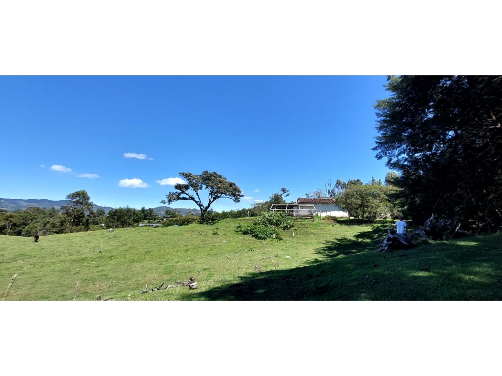 SE VENDE LOTE,VEREDA EL GUAMITO, LA CEJA